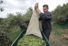 Εκδόθηκε η 2η πρόσκληση για τους νέους αγρότες ύψους 26,67 εκατ. €