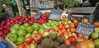 Πρόσκληση για τα προγράμματα προώθησης αγροτικών προϊόντων