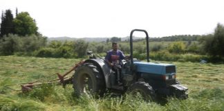 Αποδεσμεύονται λογαριασμοί ύψους 7,34 εκατ. ευρώ της πρώην ΑΤΕ που είχαν δεσμευθεί την περίοδο 2003-2015