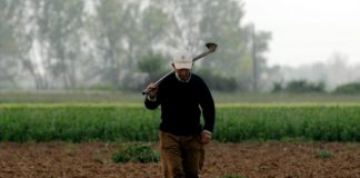 ΕΛΓΑ: πληρωμή των Κρατικών Οικονομικών Ενισχύσεων (ΚΟΕ) για το πρόγραμμα «Πυρκαγιές 2013» ύψους 102.134 ευρώ