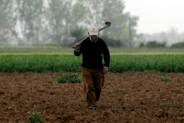 agrotika