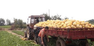 Στον συντελεστή ΦΠΑ 13% επανέρχονται τα αγαθά και οι υπηρεσίες για γεωργική παραγωγή από 1.7.2017