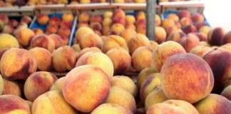 Καθορίστηκαν οι τιμές για πέντε «συνδεδεμένες» ενισχύσεις αγροτικών προϊόντων