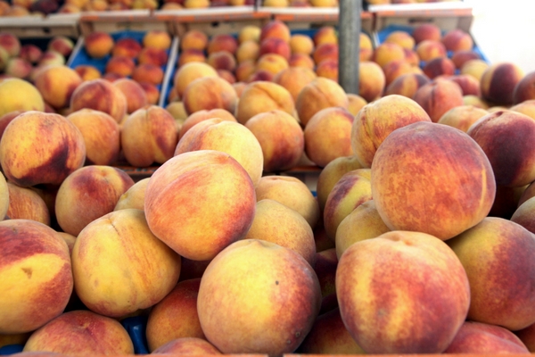 agrotiki_paragogi 2