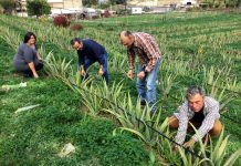 Κατάργηση τέλους επιτηδεύματος