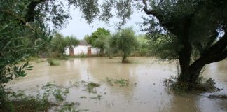 Ρυθμίσεις ληξιπρόθεσμων χρεών στο Δήμο Πύργου λόγω των έντονων καιρικών φαινομένων του Σεπτεμβρίου