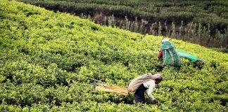 Καθιέρωση εργοσήμου για τους παράτυπα διαμένοντες μετανάστες εργάτες γης