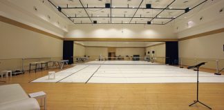 Επιχορηγήσεις ομάδων κλασικού & σύγχρονου χορού για την καλλιτεχνική περίοδο 2017-18