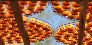 «Κατά 22,8% αυξήθηκαν οι εξαγωγές φρέσκων φρούτων και λαχανικών το 2016»