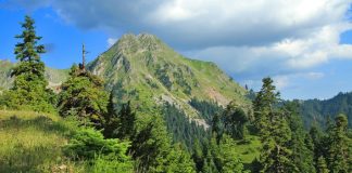 Σε δημόσια διαβούλευση το σχέδιο νόμου για τη «Σύσταση του Οργανισμού Εθνικού Κτηματολογίου».