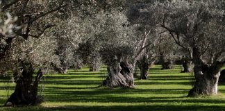 Έκδοση ΚΥΑ Υπουργείου Περιβάλλοντος και Ενέργειας και Υπουργείου Αγροτικής Ανάπτυξης και Τροφίμων