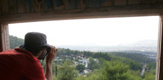 Απόφαση για δημιουργία ένστολης Δασοφυλακής