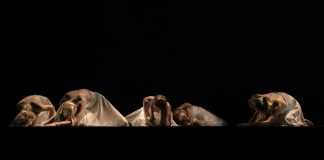 Επιχορήγηση 30 Ομάδων Χορού & 80 επαγγελματικών σχημάτων του Ελεύθερου Θεάτρου