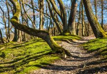 Εγκρίθηκε η αναθεώρηση του εθνικού καταλόγου περιοχών του δικτύου Natura 2000