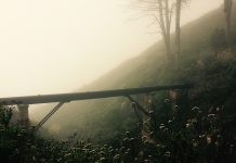 Ανάπτυξη δικτύου φυσικού αερίου στην Καστοριά και τα Γρεβενά