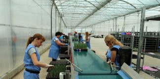 Ένεση ρευστότητας 932 εκατ. ευρώ στους λογαριασμούς 622.000 αγροτών