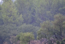 Ενέργειες για την αντιμετώπιση των προκληθεισών καταστροφών από τις σφοδρές βροχοπτώσεις στη Σαμοθράκη