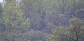 Ενέργειες για την αντιμετώπιση των προκληθεισών καταστροφών από τις σφοδρές βροχοπτώσεις στη Σαμοθράκη