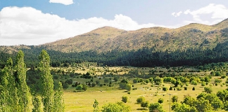 «Όχι στην εθνικοποίηση της ΚΑΠ, ναι στις συνδεδεμένες, απλοποίηση για “πρασίνισμα” και αγροτική ανάπτυξη»