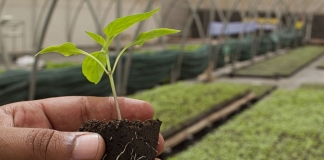 443 εκατ. ευρώ για την ενίσχυση της βιολογικής γεωργίας και κτηνοτροφίας