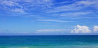 Ξεκινά στις 16.4.2018 το πρόγραμμα ηλεκτρονικών δημοπρασιών παραχώρησης απλής χρήσης αιγιαλού και παραλίας