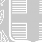 thumbsnet-04-300×207