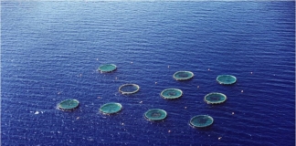 Υπουργική Απόφαση για την αξιοποίηση της υδατοκαλλιεργητικής δυναμικότητας