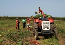 Νέες πληρωμές συνόλου ήδη 1,5 δις στους αγρότες από τα 2,8 δις ευρώ μέσα στο 2017, χωρίς πρόστιμα και καταλογισμούς