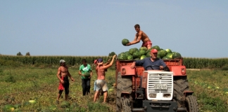 Νέες πληρωμές συνόλου ήδη 1,5 δις στους αγρότες από τα 2,8 δις ευρώ μέσα στο 2017, χωρίς πρόστιμα και καταλογισμούς