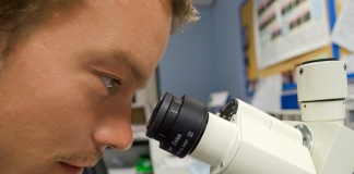 Χρηματοδοτικά εργαλεία και τρόποι στήριξης καινοτόμου επιχειρηματικότητας