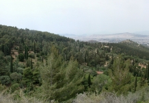 Δημιουργία Κέντρου Περιβαλλοντικής Εκπαίδευσης στην Καισαριανή