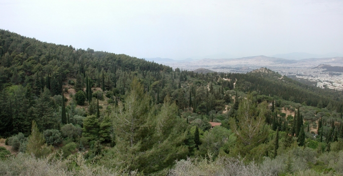 Αισθητικό δάσος Καισαριανής