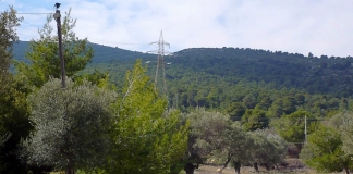 Αναδάσωση του όρους Υμηττού μετά την πυρκαγιά 2015