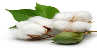 Πληρωμές συνδεδεμένων ενισχύσεων ύψους 191 εκατ. ευρώ από τον ΟΠΕΚΕΠΕ