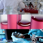 Ελληνικό Ινστιτούτο Παστέρ