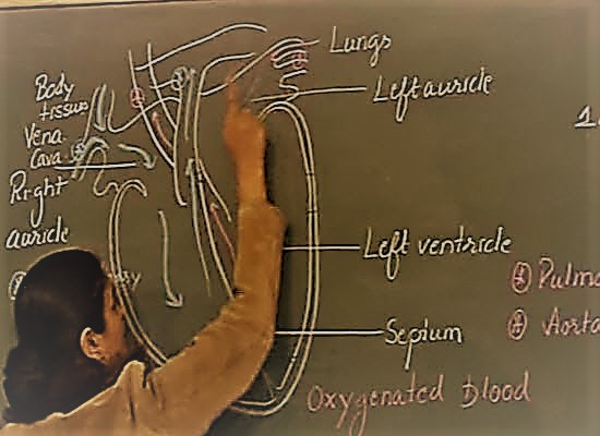 ekp12