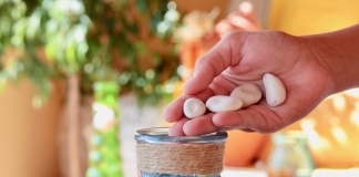 Άνοιγμα Ειδικού Λογαριασμού στην ΤτΕ για την αρωγή των πληγέντων από τις πυρκαγιές