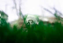 Νέες αναρτήσεις δασικών χαρτών σε Ανατολική και Δυτική Αττική, Δράμα, Κυκλάδες και Κοζάνη