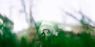 Νέες αναρτήσεις δασικών χαρτών σε Ανατολική και Δυτική Αττική, Δράμα, Κυκλάδες και Κοζάνη