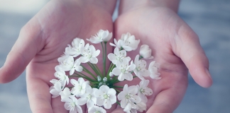 Επιχορηγήσεις 6,5 εκατ. ευρώ σε 118 Προνοιακά Ιδρύματα Ν.Π.Ι.Δ. σε 7 Περιφέρειες της χώρας