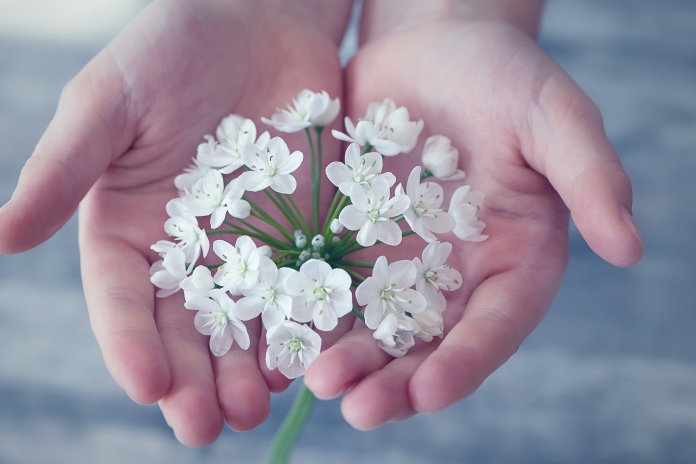 flower-1283259_1920