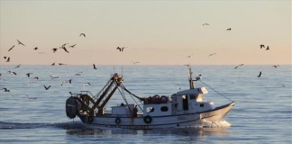 Σε ισχύ ο περιορισμός του εργαλείου της βιντζότρατας