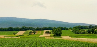 Σε πλήρη ενεργοποίηση ο νόμος για την παραχώρηση εκτάσεων του ΥΠΑΑΤ σε κατά κύριο επάγγελμα αγρότες και σε ανέργους