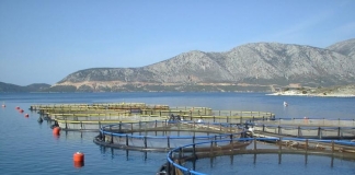Έγκριση 112 επενδύσεων στις υδατοκαλλιέργειες που θα δημιουργήσουν 164 νέες θέσεις εργασίας