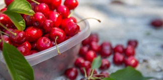 Ξεκίνησε η δωρεάν διανομή φρούτων, λαχανικών και γάλακτος σε 800 σχολεία