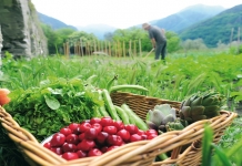 Νέα προκήρυξη Βιολογικής Γεωργίας ύψους 120 εκατ. ευρώ