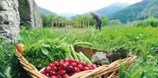 Νέα προκήρυξη Βιολογικής Γεωργίας ύψους 120 εκατ. ευρώ