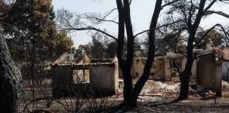 Ρύθμιση χρεών πυρόπληκτων