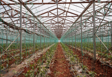 Επέκταση των μέτρων στήριξης από τις επιπτώσεις της διεθνούς ενεργειακής κρίσης στις αγροτικές επιχειρήσεις που είναι συνδεδεμένες στη Μέση Τάση